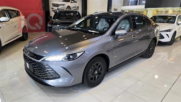 بی وای دی Qin Plus 2025  بۆ فرۆشتن لە عێراق - هەولێر